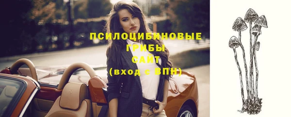 apvp Медвежьегорск